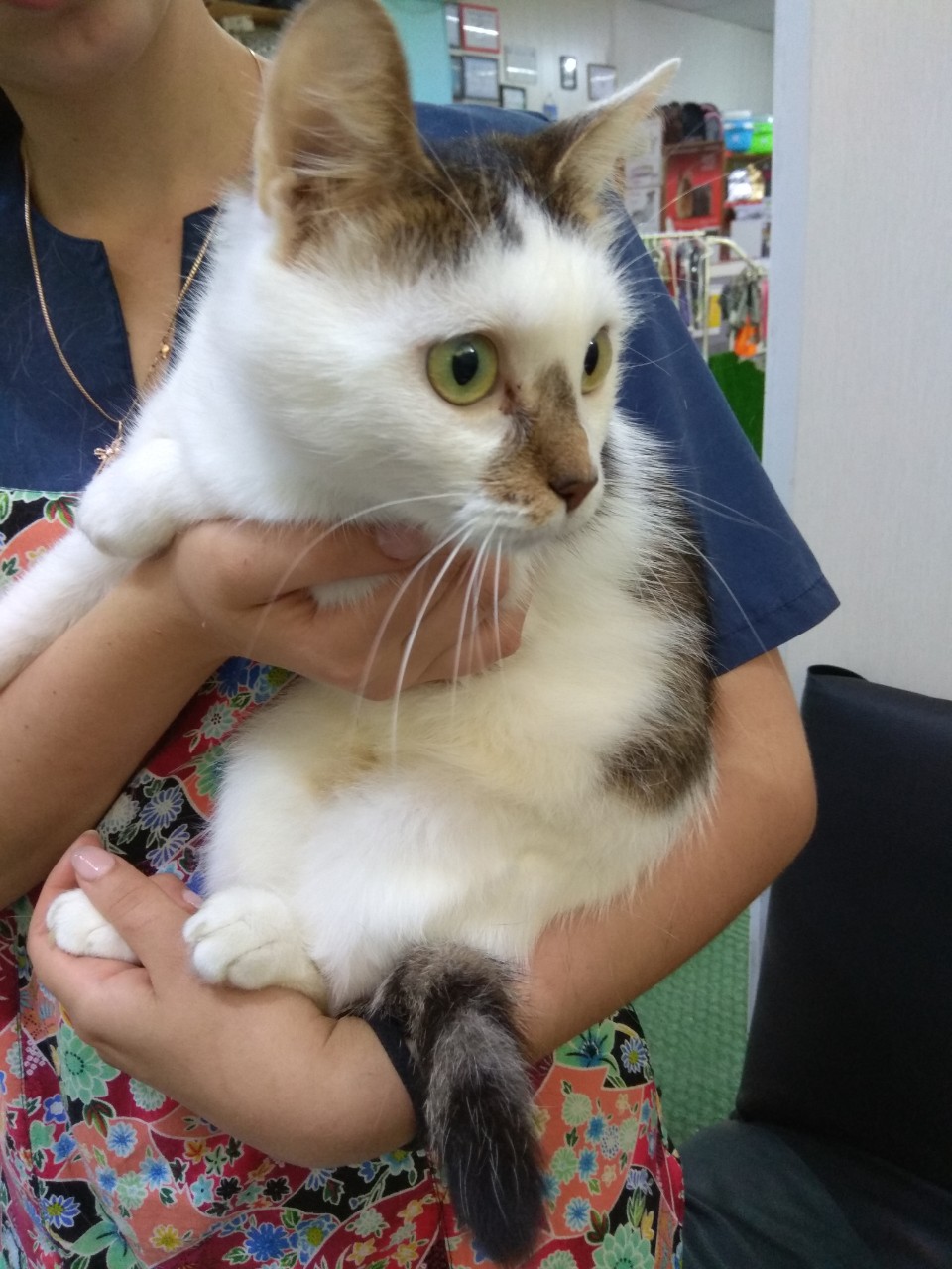 изображение_viber_2019-08-13_15-31-55