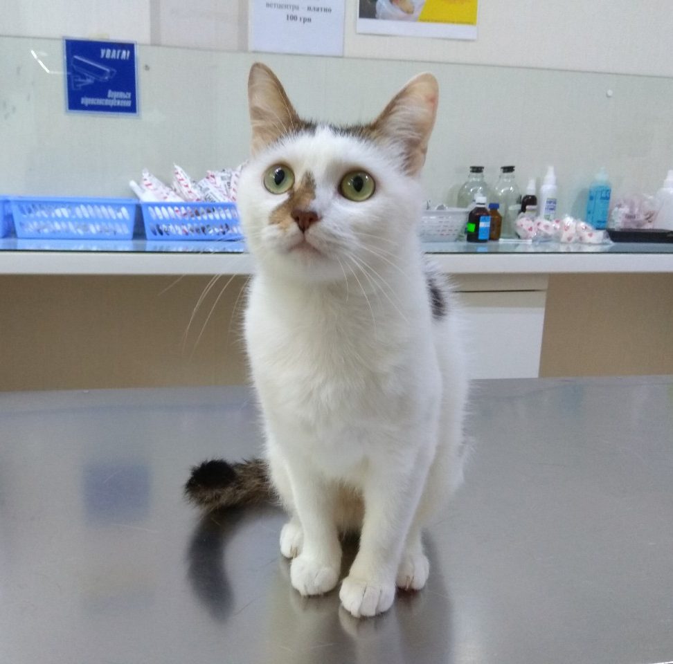изображение_viber_2019-08-13_15-31-58